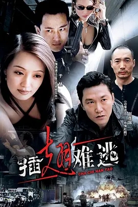 插翅难逃 (2002) 1080P 国语中字 29集全