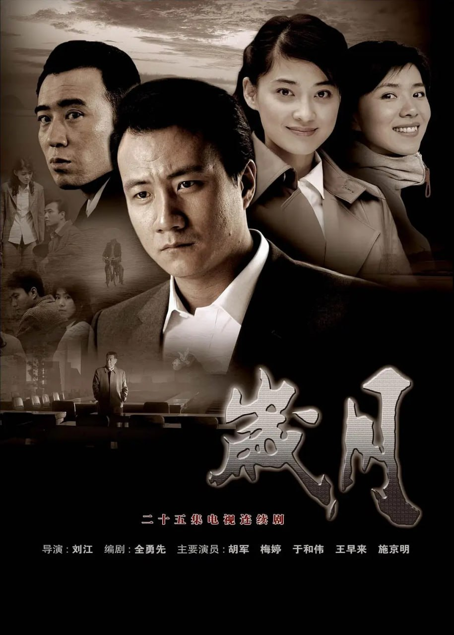 岁月 (2010) 1080P 国语中字 23集全